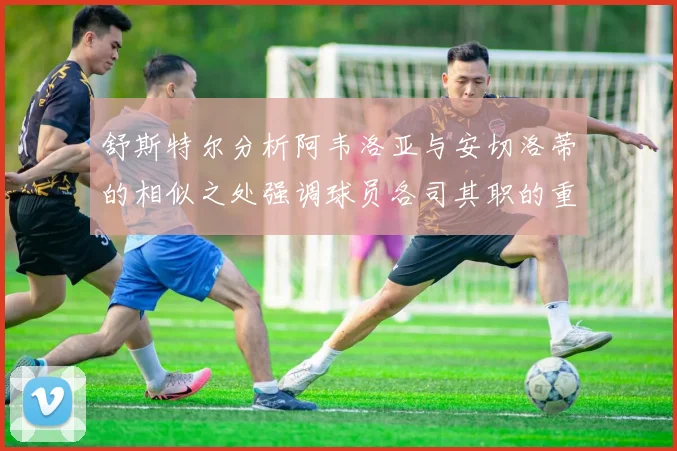 舒斯特尔分析阿韦洛亚与安切洛蒂的相似之处强调球员各司其职的重要性